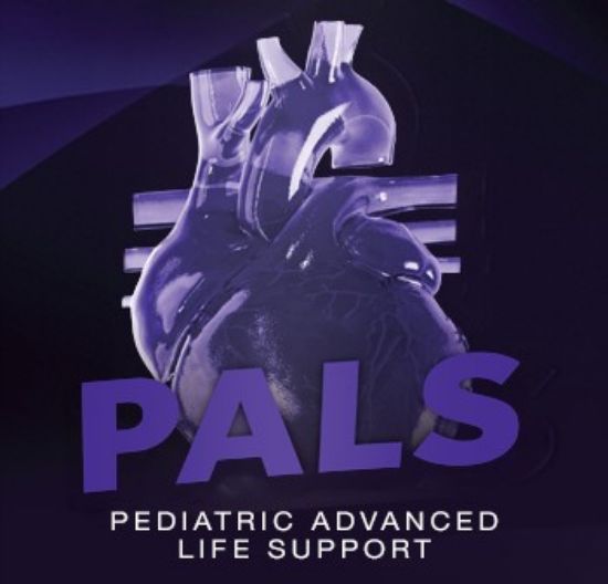 Picture of Pediatric Advanced Life Support (PALS)