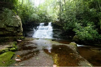 Picture of Excursion: Mill Creek Waterfalls and What-fors?