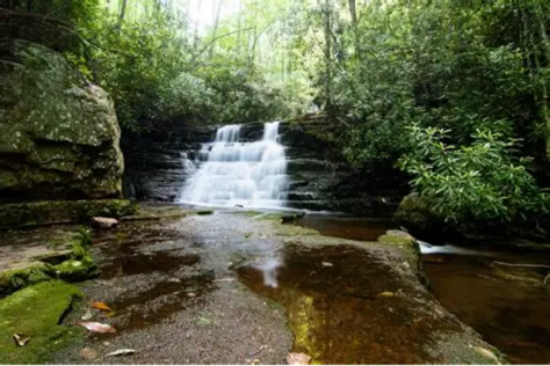 Picture of Mill Creek Waterfalls and What-fors?