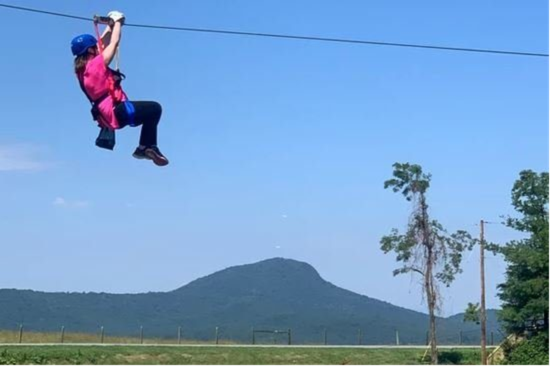 Picture of Buffalo Mountain Zipline Adventure
